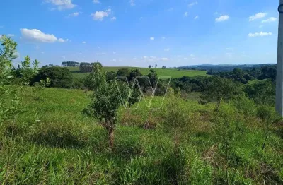 Chácara / sítio com 1 quarto à venda na estrada da bocaina, 19, joaquim egídio, morungaba, 20000 m2 por r$ 800.000