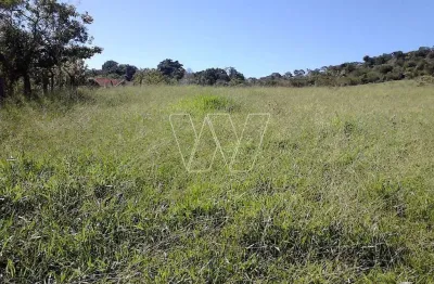 Chácara / sítio com 1 quarto à venda na estrada pedreira km 8, km 7, sousas, campinas por r$ 1.590.000