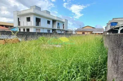 Terreno plano e murado de 360m² (12x30) com zoneamento arm-3.5 no alto ribeirão - ribeirão da ilha,