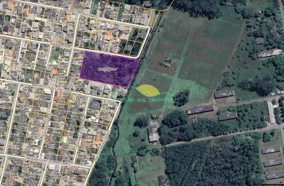 Terreno à venda na servidão kauri, tapera, florianópolis, 100 m2 por r$ 2.200.000