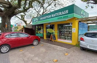Excelente ponto comercial, especializado em produtos naturais, à venda no centro do campeche, flori