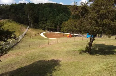 Chácara / sítio à venda na Rua Coronel Monteiro, Roseira, Campina Grande do Sul