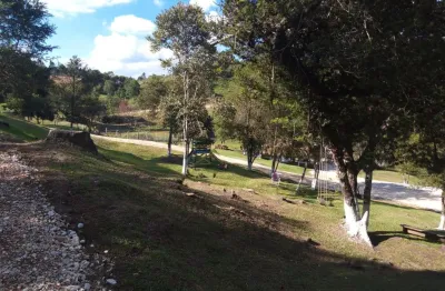 Chácara / sítio à venda na Rua Coronel Monteiro, Roseira, Campina Grande do Sul