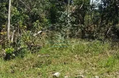 Terreno à venda no Albatroz, Matinhos 