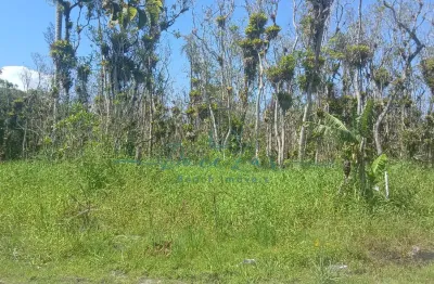 Terreno à venda em Matinhos, aceita parcelamento, todo documentado