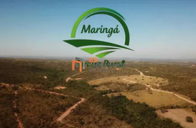 Lançamento fazendinhas 20.000 m² maringá paraíso rural - jaboticatubas