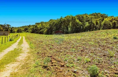 Terreno à venda na Rua Pedro Jorge Kotowiski, 1521, Botiatuba, Almirante Tamandaré