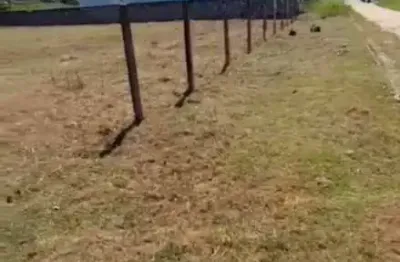 Terreno à venda no bairro massaguaçu - caraguatatuba/sp