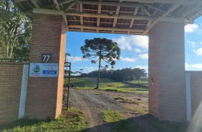 Chácara / sítio com 6 quartos à venda na Rodovia Sc-114, KM 180, Zona Rural, Otacílio Costa