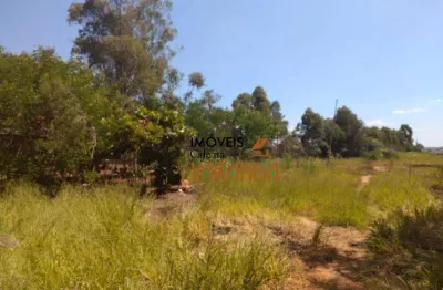 Terreno comercial à venda na Alameda Itatinga, Joapiranga, Valinhos