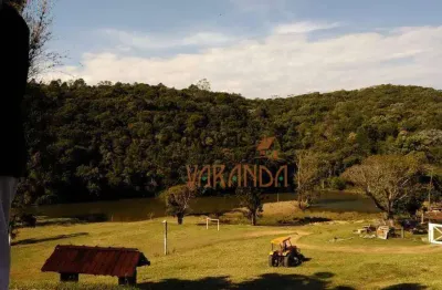 Chácara / sítio com 6 quartos à venda no Grilo, Ibiúna 