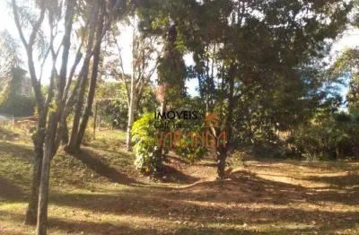 Terreno comercial à venda na Alameda Itatinga, Joapiranga, Valinhos