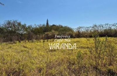 Terreno comercial à venda na Alameda Itatuba, Joapiranga, Valinhos