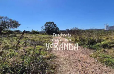 Terreno comercial à venda na Avenida Joaquim Alves Corrêa, Jardim Planalto, Valinhos