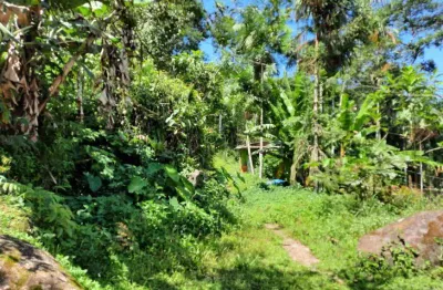 Chácara / sítio com 4 quartos à venda na Rodovia Paraty Cunha, 355, Penha, Paraty