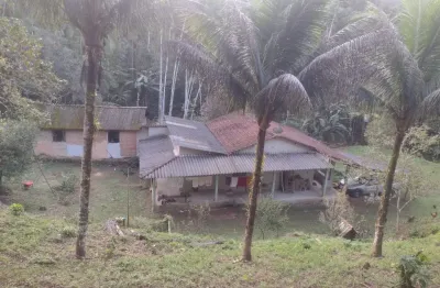 Chácara / sítio com 4 quartos à venda na Barra Grande, Paraty 