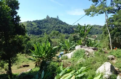 Chácara / sítio com 2 quartos à venda na Br 101  Km  567, 567, Tarituba, Paraty