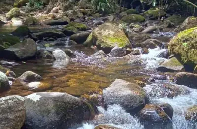 Chácara / sítio à venda na Estrada Pastor, 2522, Ubatumirim, Ubatuba