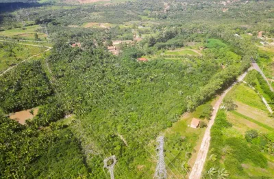 Vendo uma chacará em cajupary com 10ha - (100.000m²)