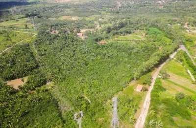 Chácara / sítio com 1 quarto à venda na Rua Um, 2500, Área Rural de São Luís, São Luís