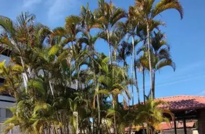 Casa para venda em florianópolis, ingleses do rio vermelho, 4 dormitórios, 4 banheiros