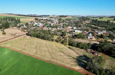 Chácara à venda com 42254 m² por r$ 1.100.000 - rio do salto - cascavel/pr