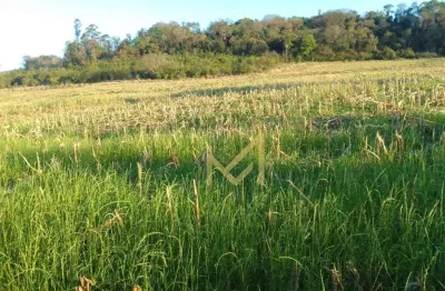 Área à venda, 35218 m² por r$ 580.000,00 - rio do salto - cascavel/pr