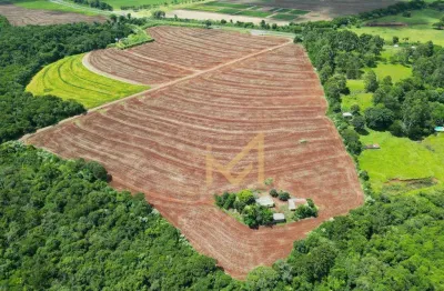 Área à venda, 110000 m² por R$ 8.000.000,00 - Zona Rural - Cascavel/PR