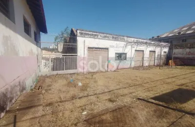 Area no centro com barracao, sendo 3 barracoes e terreno. Com facil acesso a rodovia.