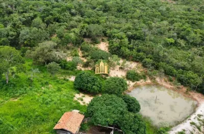 Fazenda comercial à venda em três marias-mg - bairro área rural  4 quartos, 2 salas, 1 banheiro  1.340.000m² de área