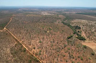 Venda de Fazenda em Morro da Garça - 271,11 Hectares, Pastagem, Casa, Curral e Lagoa | R$4.000.000