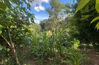 Terreno 5.000m² à venda na região pimenta, esmeraldas ? oportunidade por r$250 mil