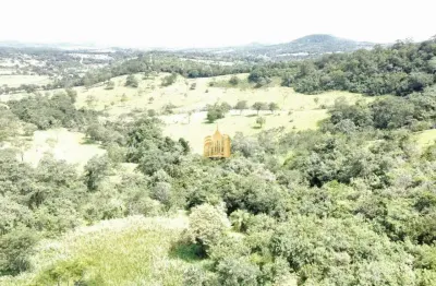 Fazenda caio martins ? 34,5 ha com casa e estrutura completa