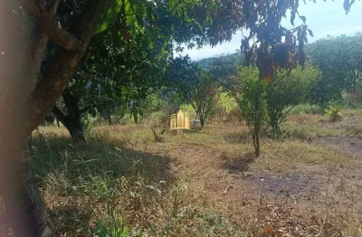 Sítio à venda condomínio sete lagos: 3 casas, 6 quartos e pomar!