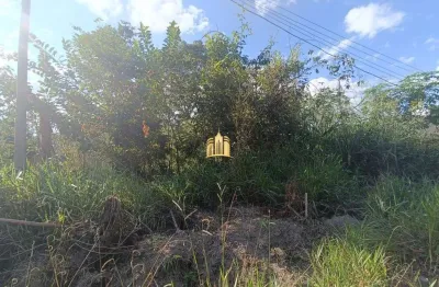 Lote 360m² à venda no bairro maceió ? terreno plano, excelente oportunidade