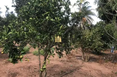 Chácara / sítio com 2 quartos à venda em Caracóis, Esmeraldas 