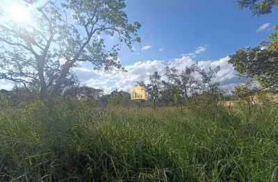 Lote 360m² à venda no bairro maceió, terreno plano, excelente oportunidade