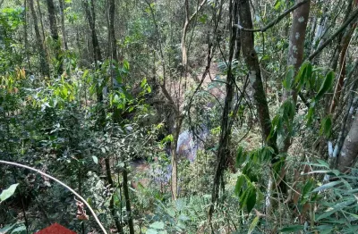 Vendo chacara com cachoeira bairro ponte nova em monteiro lobato - sp