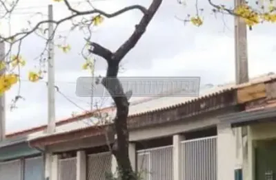 Casa com 2 quartos à venda na Rua Octávio Borghi, 126, Jardim Bonsucesso, Sorocaba