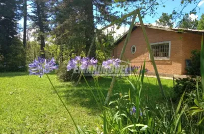 Chácara / sítio com 5 quartos à venda na Estrada Ditinho Godinho, 3km Da Rodoviária De Piedade, Zona Rural, Piedade