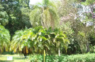 Terreno em condomínio fechado à venda na Rua Y 1, City Castelo, Itu