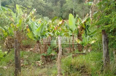 Fazenda à venda na Estrada Do Cercado, Cercado, Araçoiaba da Serra