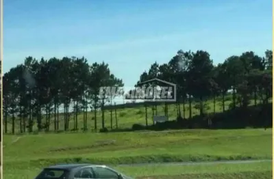 Terreno comercial para alugar na Rodovia Raposo Tavares, Zona Industrial, Sorocaba