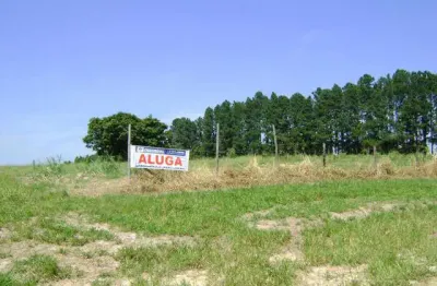 Terreno comercial para alugar na Rua Comendador Hermelino Matarazzo, Vila Santa Rita, Sorocaba