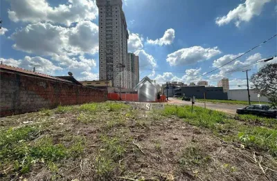 Terreno à venda, 293 m² por r$ 500.000,00 - jardim contorno - bauru/sp