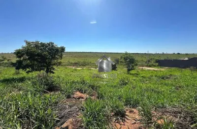 Terreno à venda, 260 m² por r$ 65.000,00 - quinta da bela olinda - bauru/sp