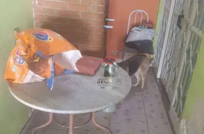 Casa com 3 dormitórios à venda, 160 m² por r$ 302.000,00 - núcleo habitacional mary dota - bauru/sp