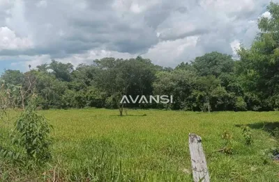 Terreno/chácara à venda, 3008 m² por r$ 95.000 - chácaras são martins - mococa/sp