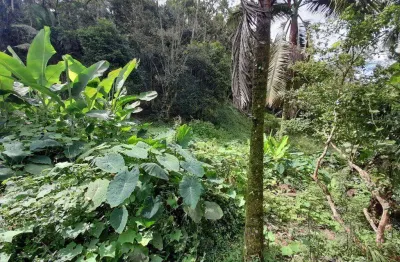 Terreno à venda na Rua Lírio, 1200, Jardim Clube de Campo, Santo André