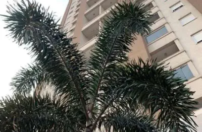 Apartamento à venda, 66 m² por r$ 450.000,00 - centro - cascavel/pr